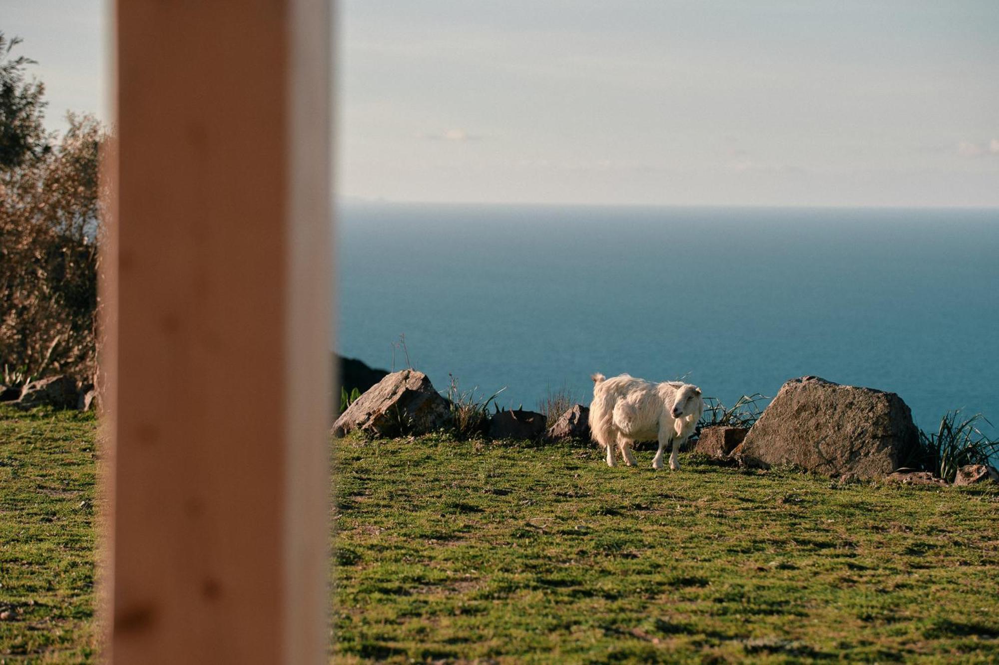 New Suites Sea View Sardinia, Castelsardo Bagian luar foto